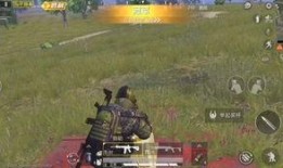 和平精英大盘鸡最新爆料,全新爆料揭秘神秘大盘鸡玩法